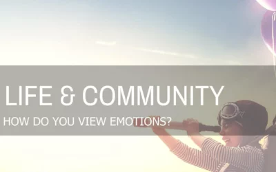 HOW DO YOU VIEW EMOTIONS?