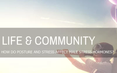 HOW DOES POSTURE AND STRESS AFFECT MALE SEX HORMONES?