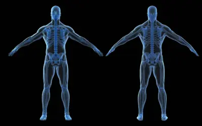 What to Expect at Your Core | 6 Movement Assessment