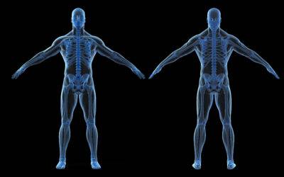 What to Expect at Your Core | 6 Movement Assessment