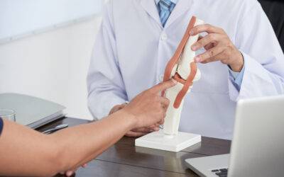 Understanding Arthrokinematics and Muscle Function: Foundations for Safe, Effective Movement and Performance