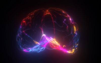 What It Really Takes to Restore Your Movement: The True Bandwidth of Muscle and Neuromuscular Recovery