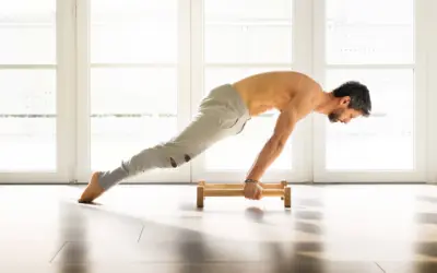Engineering Movement: The Science of Periodization