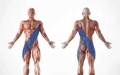 Why Your Core Isn’t Just Abs: The Hidden Anchors That Keep You From Falling Apart