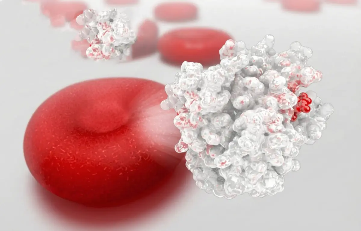 When High HbA1c Isn’t a Red Flag: Understanding Your Labs as a Hard-Training Athlete